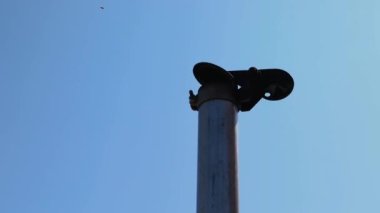 Gönüllü olarak ekolojik tarım ekinleri üzerinde çalış.