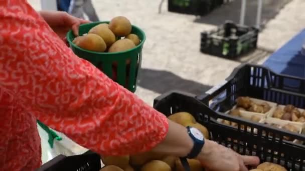 Trabalho voluntário em culturas agrícolas ecológicas . — Vídeo de Stock