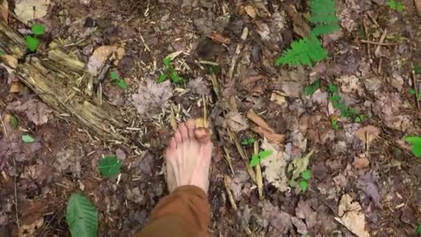 Pessoas diversas gostam de reunião espiritual — Vídeo de Stock