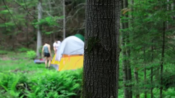 Verschiedene Menschen genießen spirituelles Beisammensein — Stockvideo