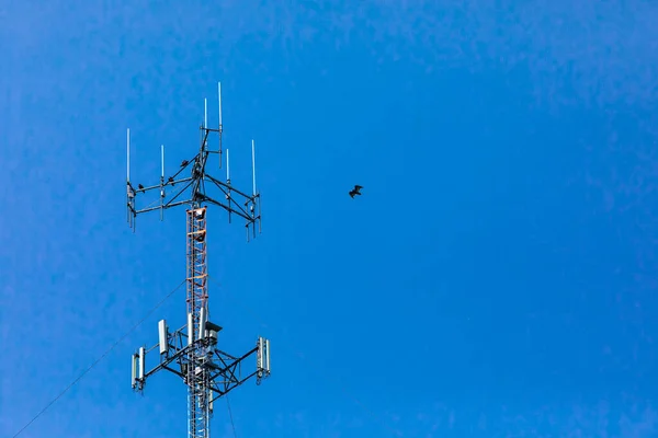 Cellular base station against blue sky.