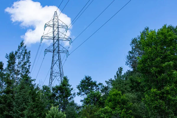 Elektriciteitstorens in weelderig groen bos. — Stockfoto