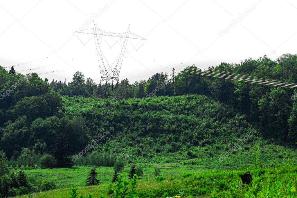 Electricity towers in lush green forest.