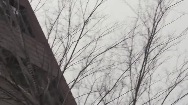 Plato de ángulo de zanja de cielos grises a ventanas de condominio de ladrillo — Vídeos de Stock