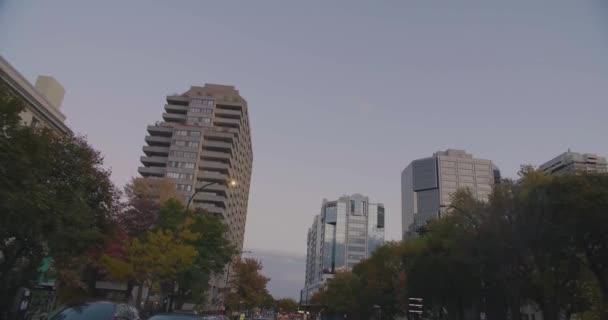 水上街の高層ビル群の眺め. — ストック動画