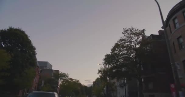 Vue de rue résidentielle en conduisant. — Video