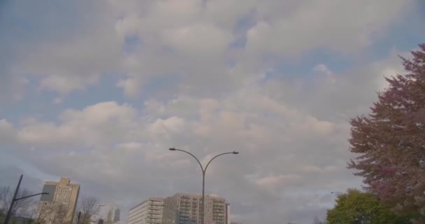 Rijden op René Levesque Boulevard. — Stockvideo