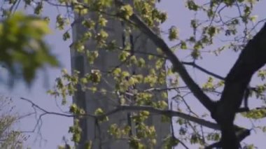 Pazara yakın, saati olan yüksek bir bina.