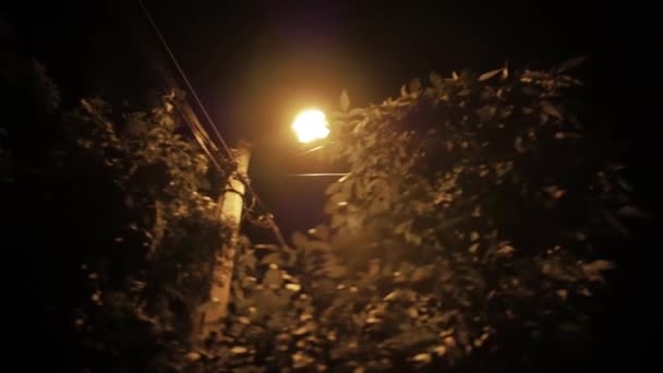 Podświetlana latarnia uliczna na ciemnej ulicy — Wideo stockowe