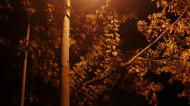 Geceleri parlayan sokak lambası olan boş bir sokak.