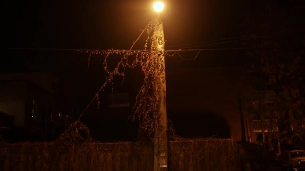 Lámpara de calle con luz brillante en calle oscura — Vídeos de Stock