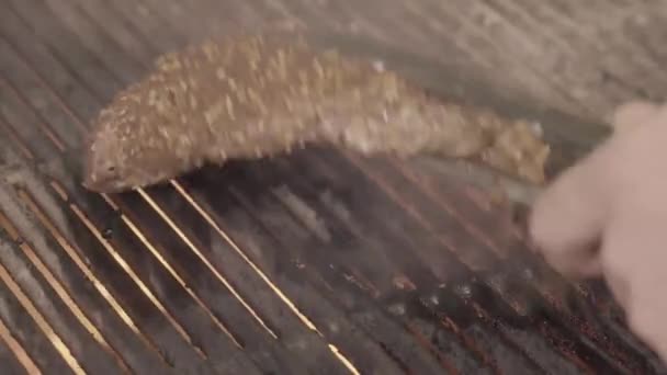 Dia de churrasco com carne na grelha — Vídeo de Stock