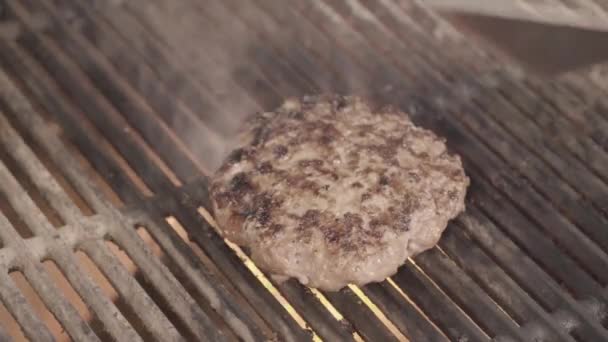 Dia de churrasco com carne na grelha — Vídeo de Stock