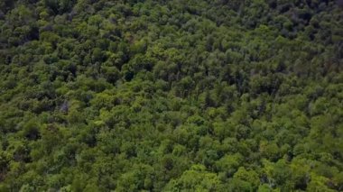 İnsansız hava aracı yeşil tepelerin üzerinde uçuyor