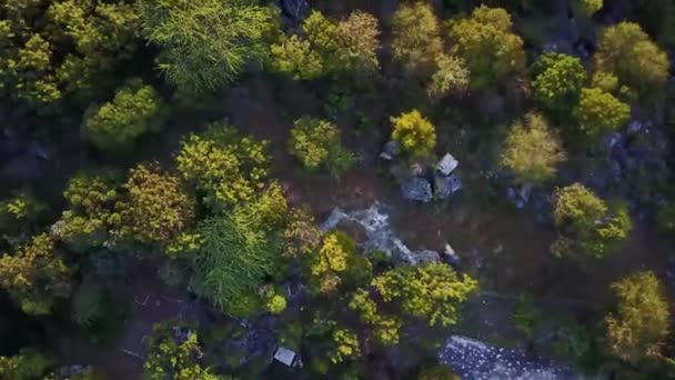 Droning i Treasur Beach, Jamaica. — Stockvideo