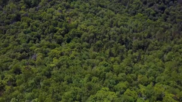 İnsansız hava aracı yeşil tepelerin üzerinde uçuyor — Stok video