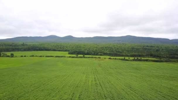 Tiro con aviones no tripulados en Quebec, Canadá — Vídeo de stock