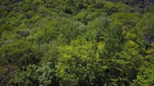 Беспилотник летит над зелеными холмами — стоковое видео