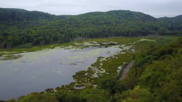 Dron letící nad zelenými vrcholy — Stock video