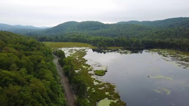 Dron letící nad zelenými vrcholy — Stock video