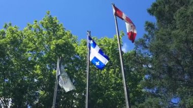 Kanada ve Quebec yazın rüzgarda dalgalanır