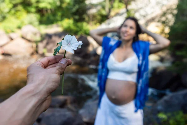 Gravid kvinna poserar i skogarna — Stockfoto