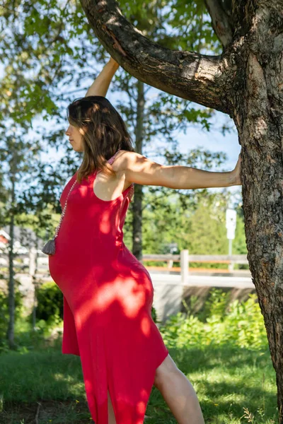 Mujer embarazada posando en el bosque — Foto de Stock