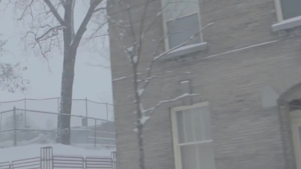 Tormenta de nieve de invierno en el centro — Vídeo de stock