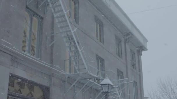 Tempête de neige hivernale dans le centre ville — Video
