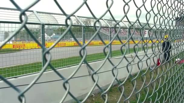 Oglądanie wyścigów Grand Prix Kanady — Wideo stockowe