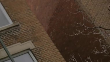 Dubleks evlerin yanında araba kullanmak.