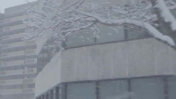 Tempête de neige hivernale dans le centre ville — Video