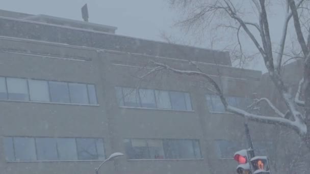 Wintersneeuwstorm in de stad centrum — Stockvideo