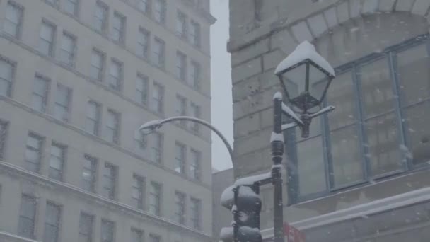 Tormenta de nieve de invierno en el centro — Vídeos de Stock