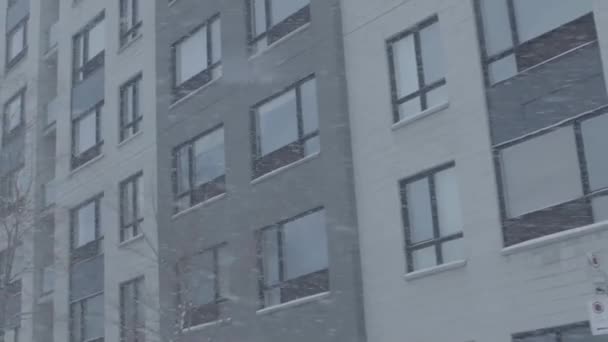 시내에 내린 겨울 눈보라 — 비디오