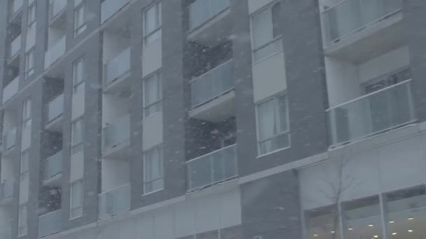 Zimowa burza śnieżna w centrum miasta — Wideo stockowe