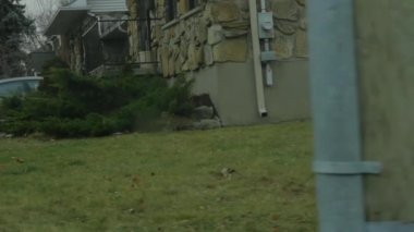 Huysuz bir Kanada kasabasında araba sürmek