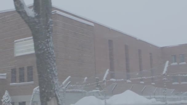 Şehir merkezinde kar fırtınası — Stok video