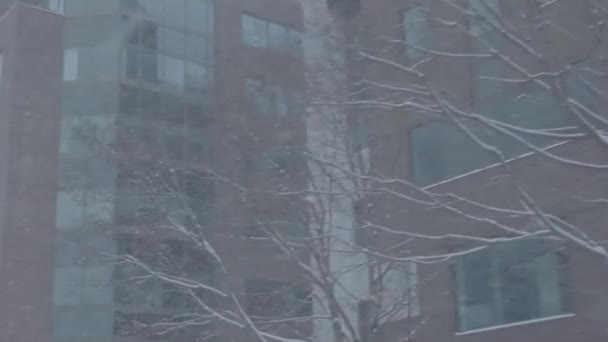 Tempête de neige hivernale dans le centre ville — Video