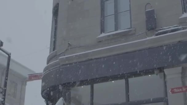 시내에 내린 겨울 눈보라 — 비디오