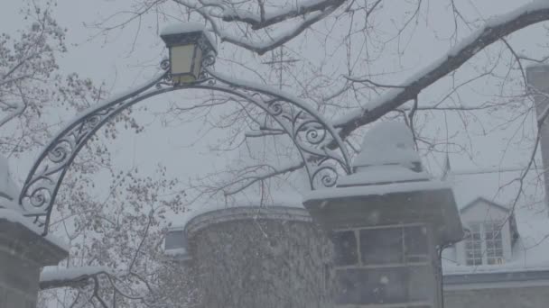 Snö faller under vintersäsongen — Stockvideo