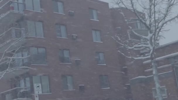 Winterlicher Schneesturm in der Innenstadt — Stockvideo