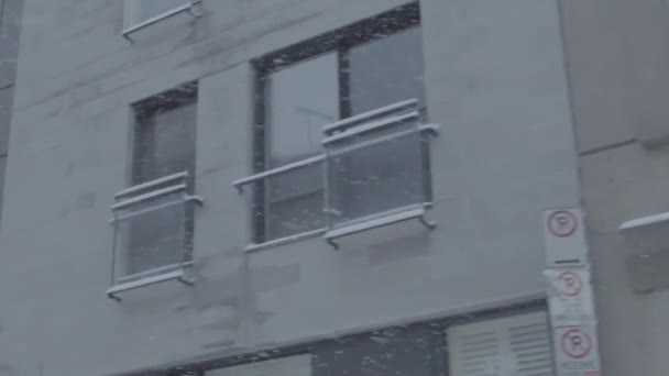 Winter snowstorm in the city downtown — Stock Video