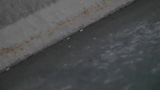 Крупний план поверхні дорожнього асфальту — стокове відео