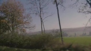 Yol kenarı ağaçları sürerken görünüm.