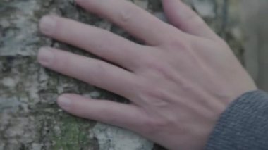 Yürüyüş yapan bir adam huş ağacına destek oluyor.