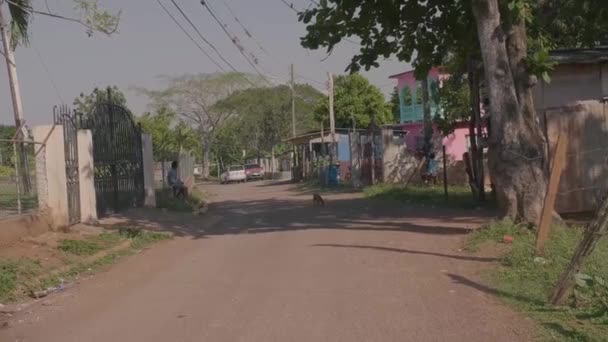 텅 빈 고요 한 도로와 주차 된 차들 — 비디오
