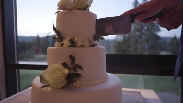 Пара рук с ножом разрезанный свадебный торт — стоковое видео
