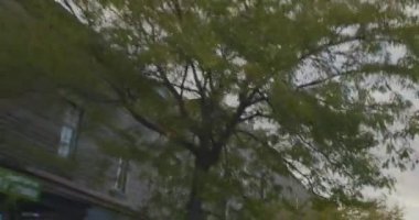 Saint Denis Caddesi manzaralı.