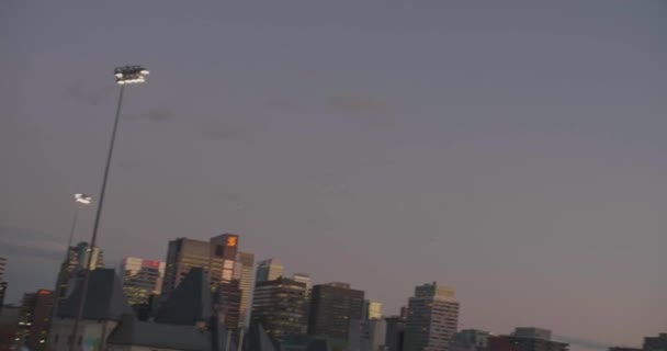 松树大道的市中心摩天大楼. — 图库视频影像